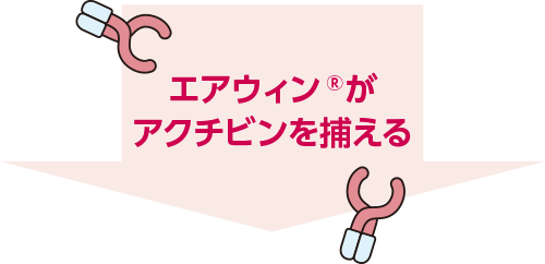 エアウィン®がアクチビンを捕らえる