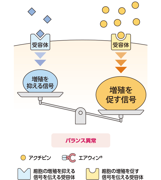 エアウィン®がアクチビンを捕らえることで、血管の細胞の増殖を促す信号と、細胞の増殖を抑える信号のバランスが改善した状態のイメージ